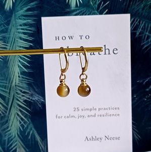 Round Ombre Dangle Earrings